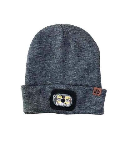 Six Peaks Unisex Adult LED Beanie (Gray) - UTRD2363