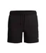 Mens Classic Volley Logo Swim Shorts Black Speedo-1