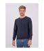 Pull col rond pur coton AMATEO-1