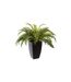 Plante Artificielle en Pot Fougère 55cm Vert-1