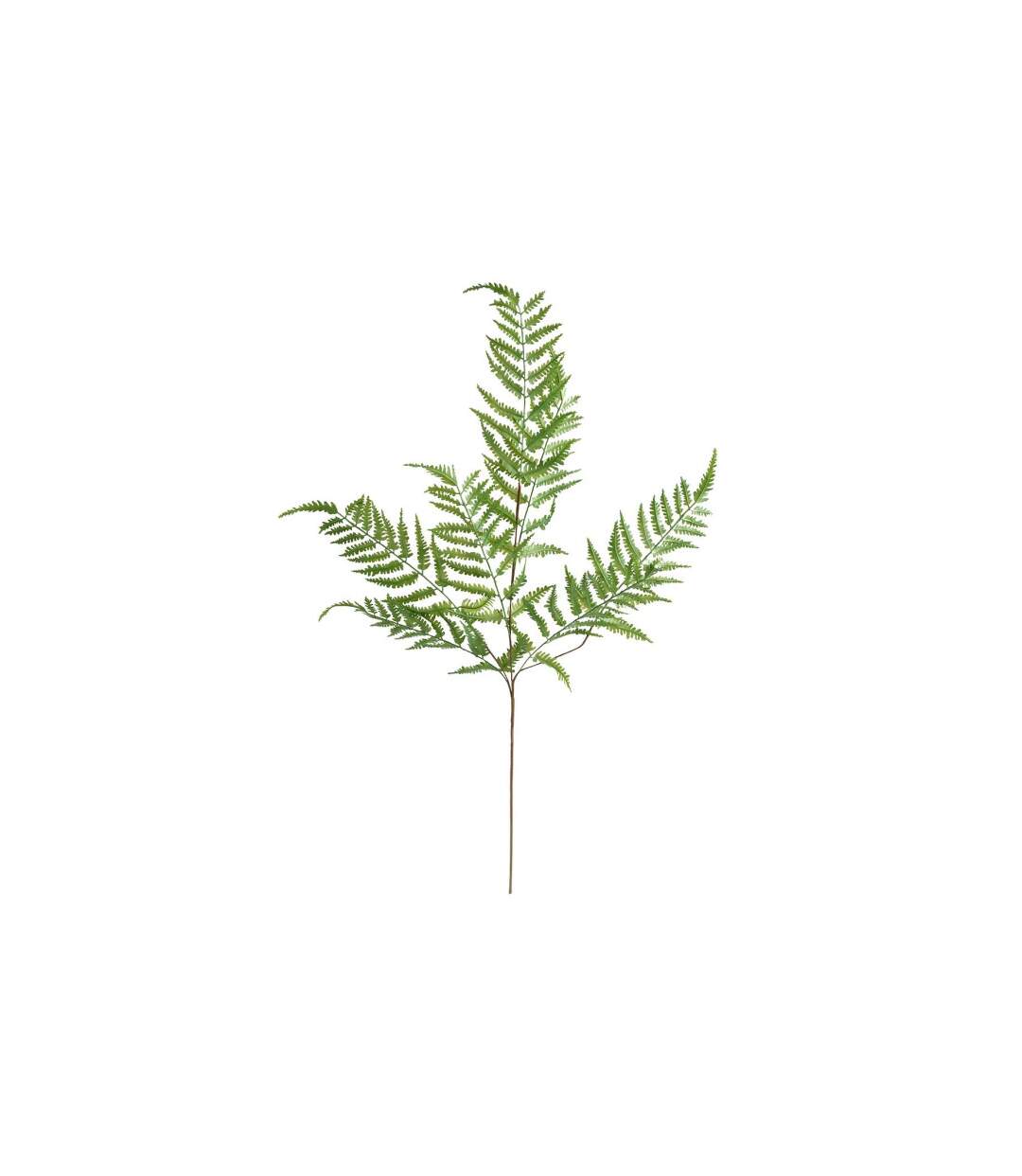 Tige Artificielle Fougère James 90cm Vert-1
