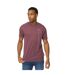 T-shirt Ashland Homme Rhum Raisin Duck And Cover-1