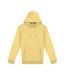 Sweat À Capuche Adulte Jaune Vif Native Spirit-1