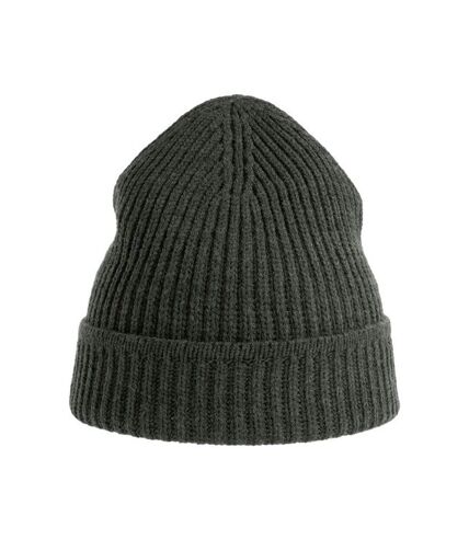 Atlantis Unisex Adult Maple Ribbed Recycled Beanie (Light Grey Melange)