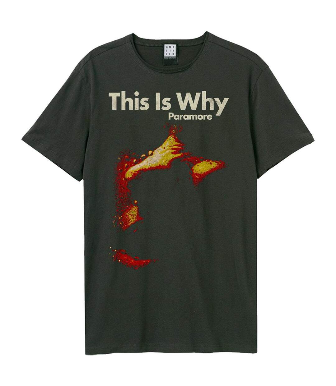 Amplified - T-shirt THIS IS WHY - Homme (Charbon) - UTGD1165-1
