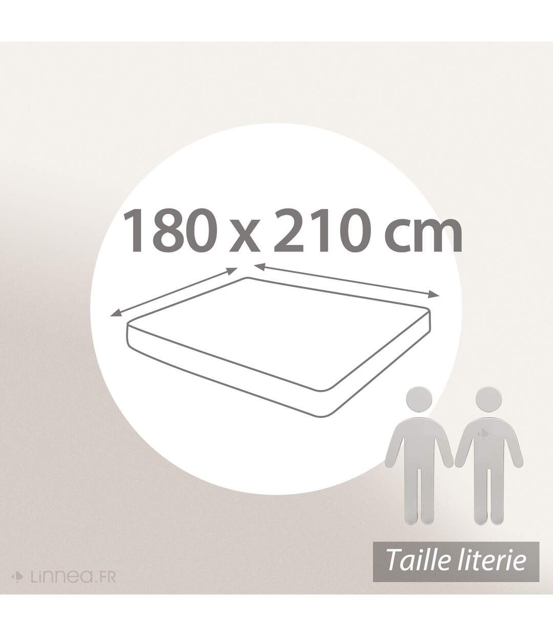 Drap housse uni coton ALTO Bonnet de 30 cm-5
