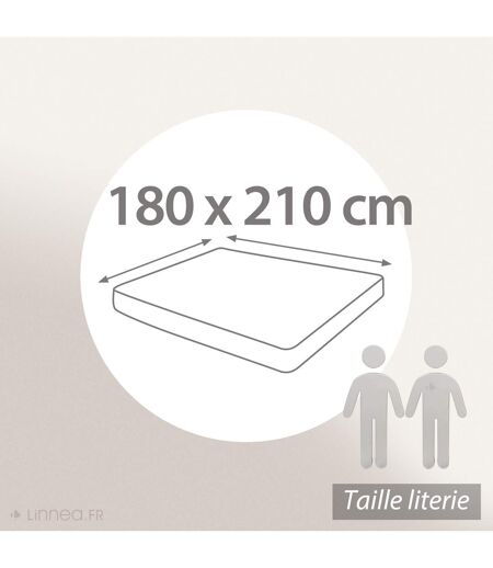 Drap housse uni coton ALTO Bonnet de 30 cm