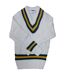 Mens cricket jumper white/green/amber Carta Sport-1