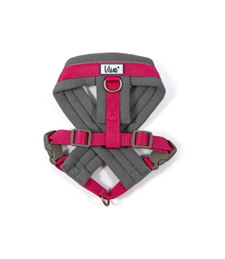 Ancol Viva Padded Dog Harness (Pink/Gray) (M- Chest: 41cm-53cm) - UTTL5355