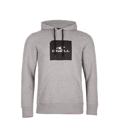 Sweat à Capuche Gris Homme O'Neill Cube - L