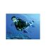Baptême de plongée sous-marine en solo - SMARTBOX - Coffret Cadeau Sport & Aventure