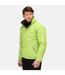 Regatta Dover Waterproof Windproof Jacket (Thermo-Guard Insulation) (Key Lime/Seal Grey) - UTRG1425