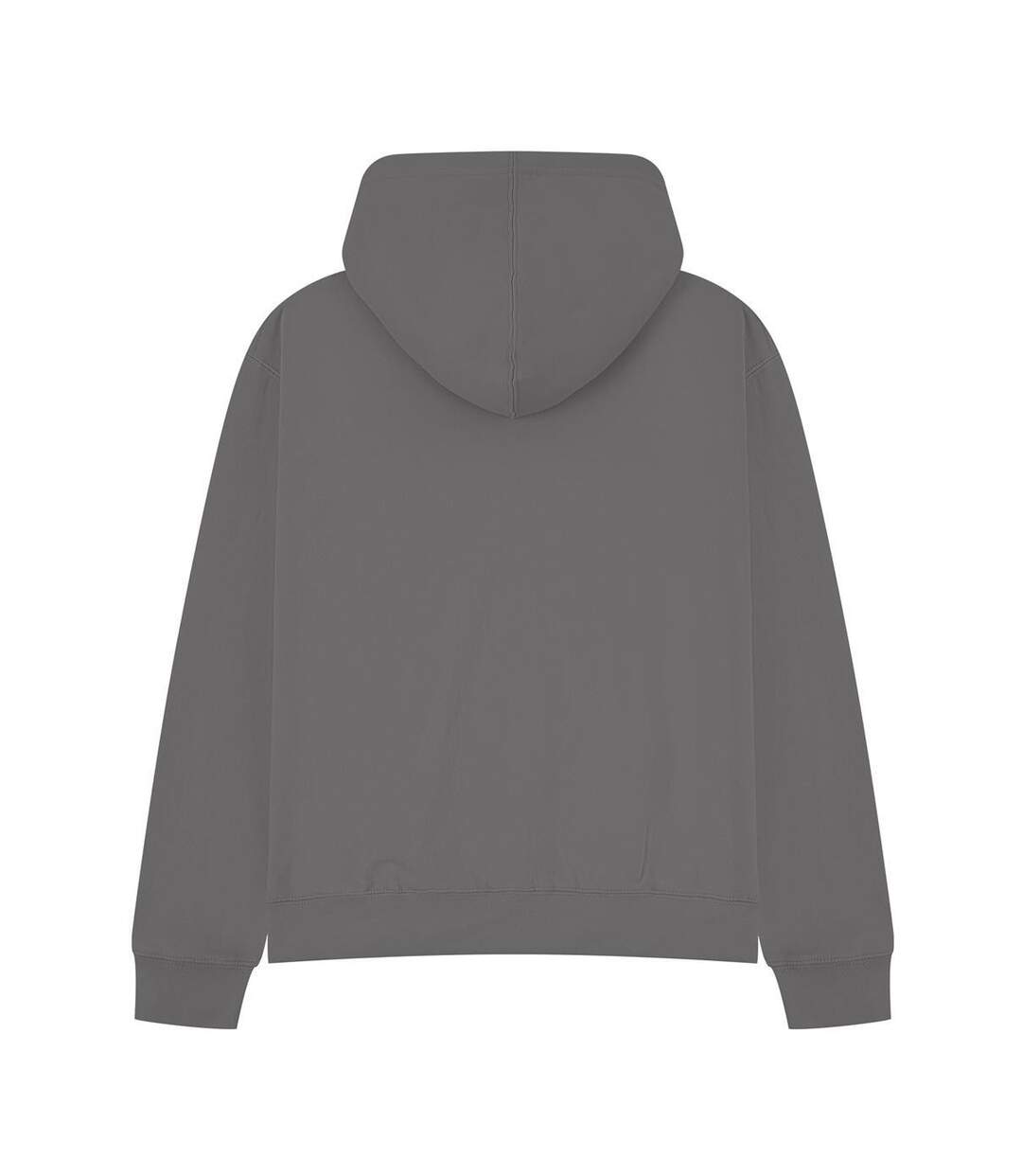 Veste À Capuche Premium Adulte Anthracite Casual Classics-1