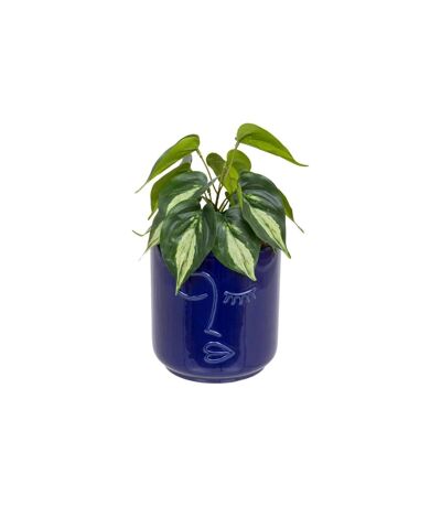Plante Artificielle en Pot Soleya 30cm Bleu