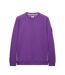 Sweat F Bomb Homme Violet Weekend Offender-2