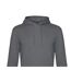 Sweat À Capuche Motif/style Uni Homme Gris B&C-2