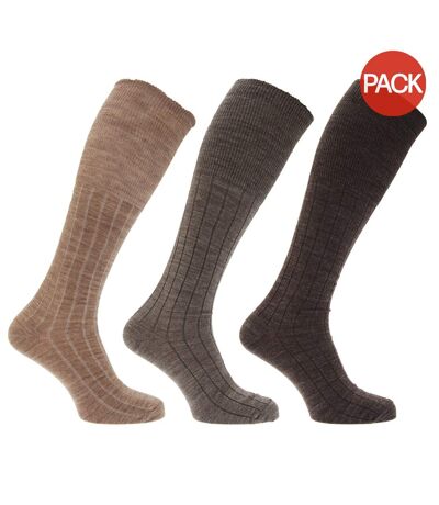 Chaussettes hautes striées homme marron Universal Textiles