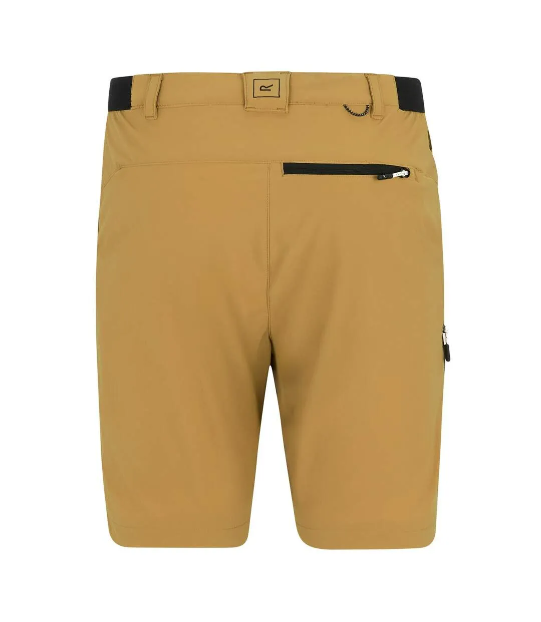 Short De Voyage Homme Marron Bois Regatta Professional-3