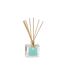 Diffuseur de Parfum Elea 160ml Coco Citron-1