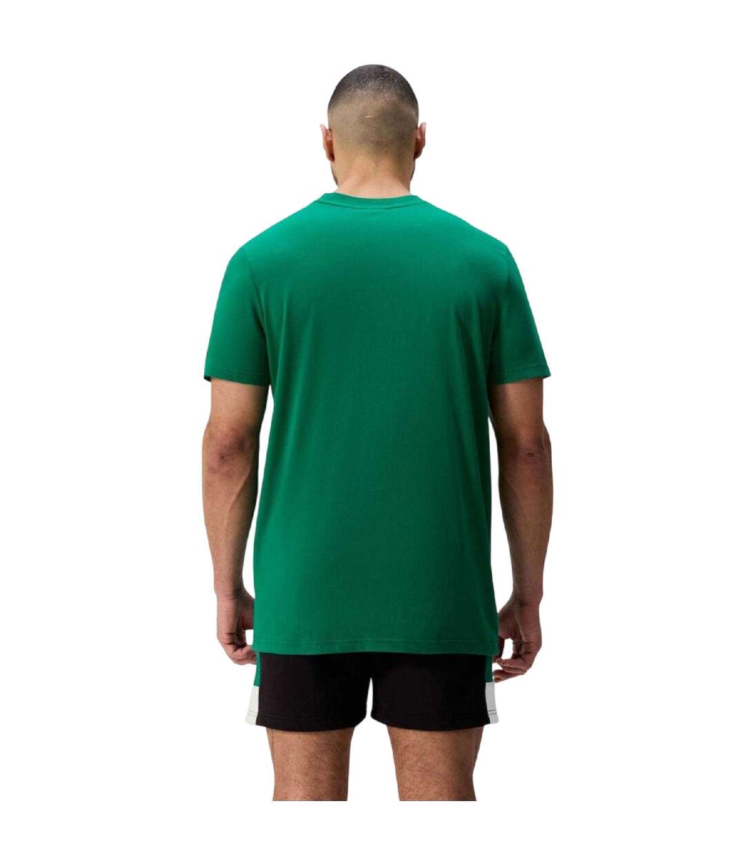 T-shirt Motif/style Irlande Homme Vert Canterbury-4