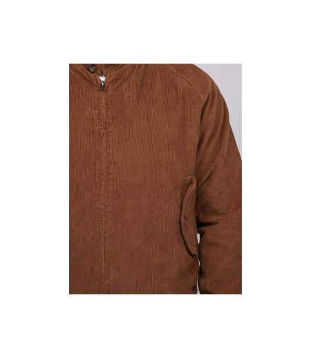 Blouson teddy velours ZELGIN