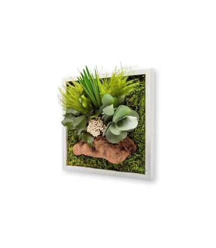 Tableau végétal stabilisé nature Carré 20 x 20 cm