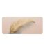 Tapis de Bain Ultra-Absorbant Angelica 50x120cm Naturel-1