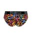 Womens/ladies filthy animal briefs multicoloured OddBalls