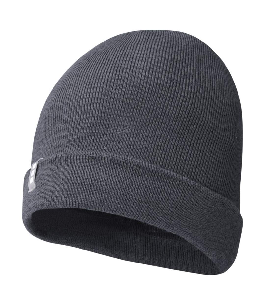 Elevate Unisex Adult Hale Polylana Beanie (Storm Grey) - UTPF3671-1