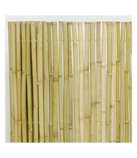 Canisse en bambou (Lot de 5) Lot de 5