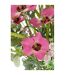 Bouquet de Fleurs Artificielles Mixtes 85cm Rose-3