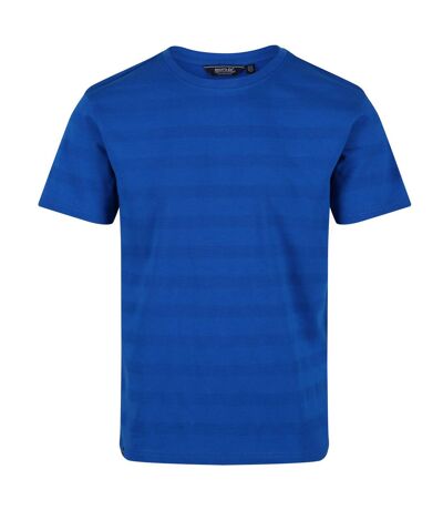 Regatta Mens Prestyn Stripe T-Shirt (Lapis Blue)