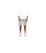 Short Homme Beige Gris Mallet-1