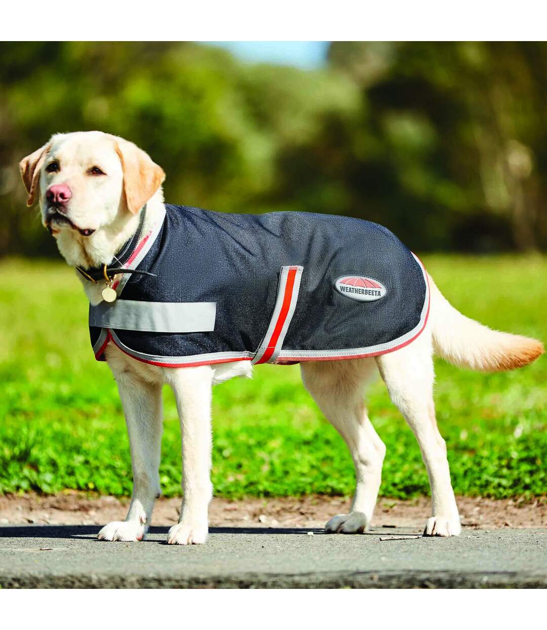 1200d therapy-tec dog coat 25cm black/silver/red Weatherbeeta-2