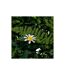 Carré Végétal Artificiel Jungle Izy 50cm Vert-2