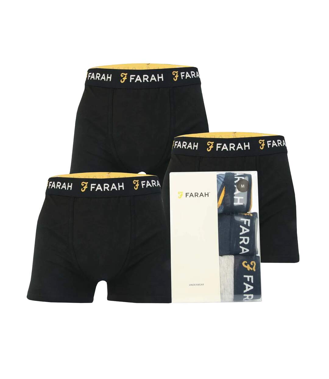 Boxers saginaw homme noir Farah-2