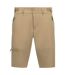 Short Uni À Poches Ralf Dlx Homme Marron Clair Trespass-1