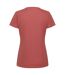 Regatta Womens/Ladies Fingal VII Keep Going T-Shirt (Terracotta) - UTRG9054