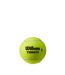 Wilson Triniti Tennis Balls (Pack of 3) (Green) (One Size) - UTRD1712