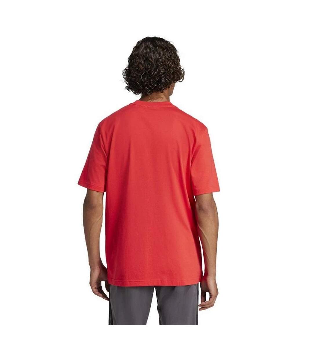 T-shirt Linear Homme Rouge Adidas-3
