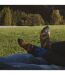 1 Pack Unisex Mismatched Novelty Odd Socks - Camping-2