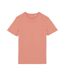 Native Spirit Unisex Adult T-Shirt (Peach)