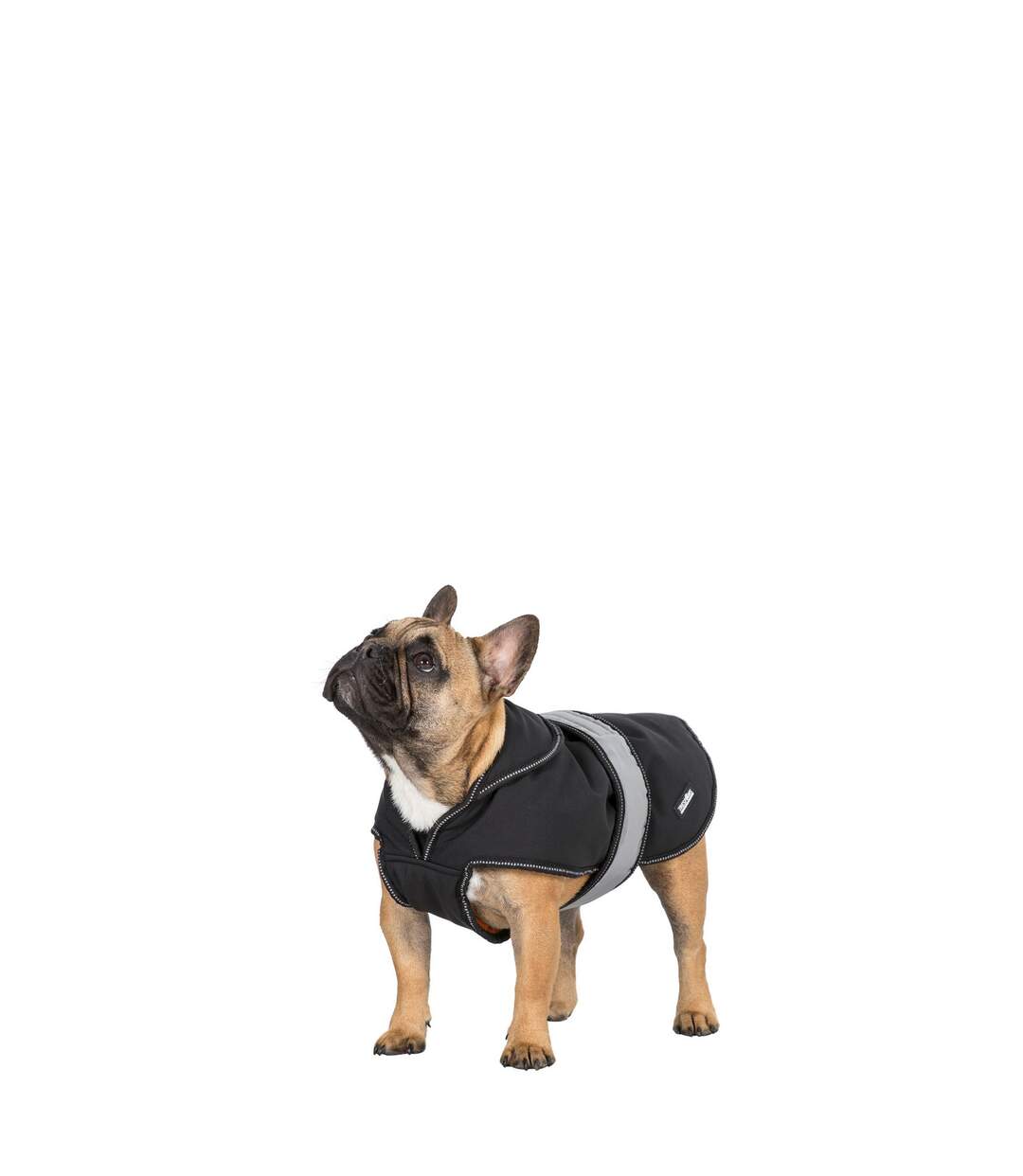 Butch touch fastening softshell dog jacket xs black Trespass-3