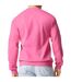 Sweat softstyle adulte rose foncé Gildan