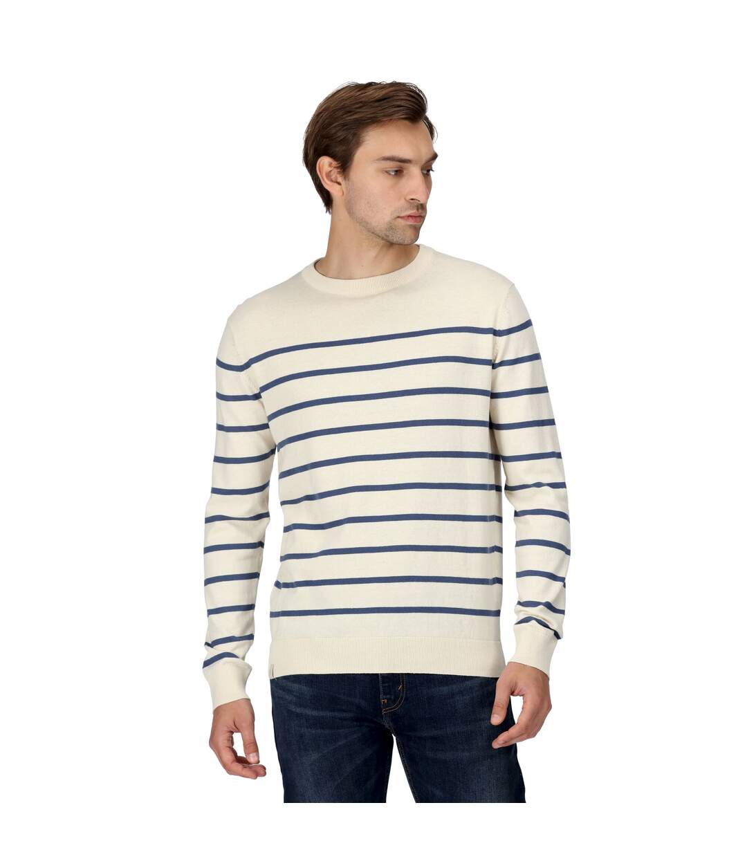 Mens cautley striped knitted jumper white stone/dark denim Regatta