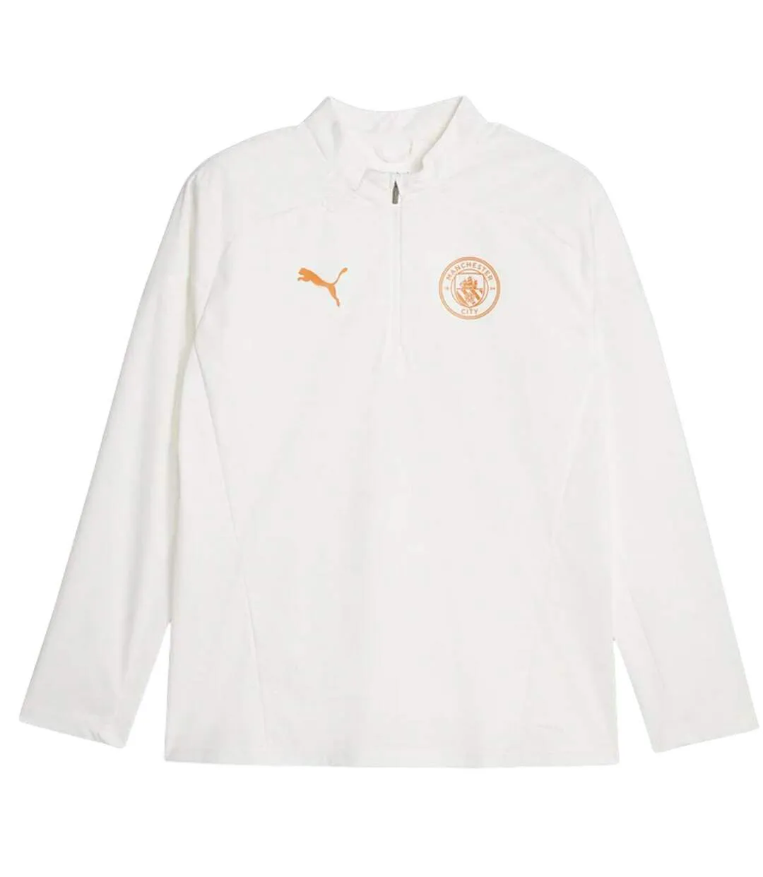 Mens Manchester City Fc Training T-shirt White Puma-2