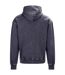Sweat À Capuche Motif/style Rétro Adulte Gris Délavé Awdis-2