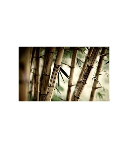 Papier Peint Fog & Bamboo Forest II 450x270cm
