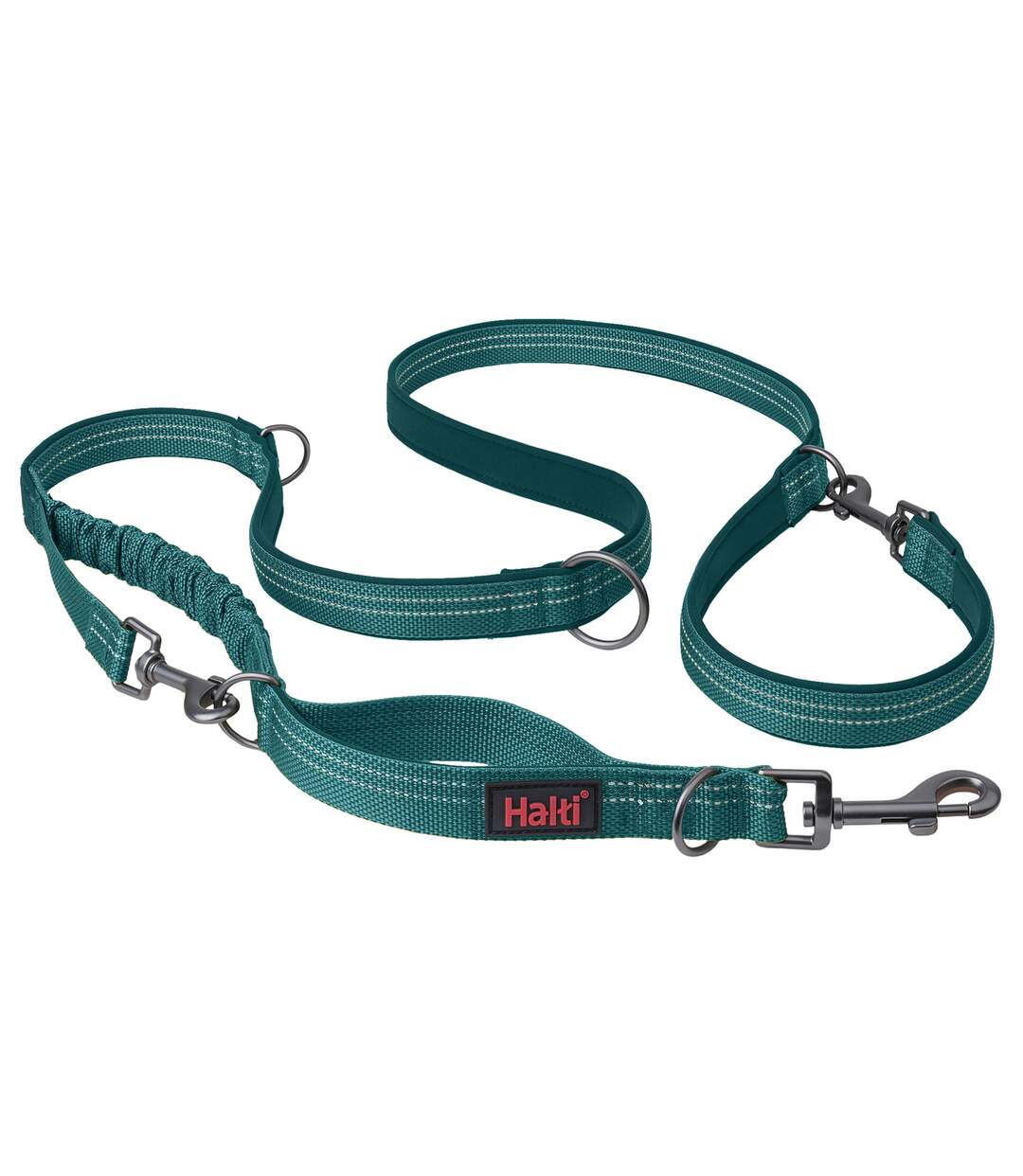 Laisse pour chiens anatomy s bleu sarcelle Halti-1