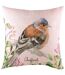 Evans Lichfield Chaffinch Throw Pillow Cover (Multicolored) (43cm x 43cm)